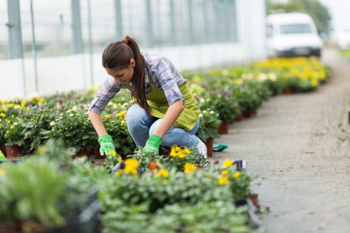Gardener working on a terrace garden in Mayfair